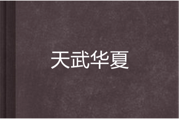 天武華夏 天武華夏