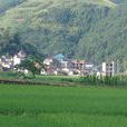 余田畈村 余田畈村