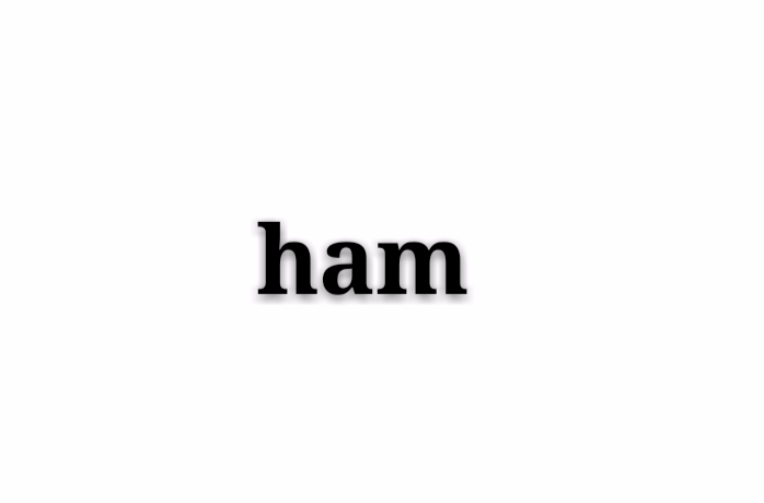 ham(英文解釋)