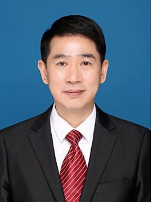 魏偉(宜賓市審計局原總審計師) 魏偉(宜賓市審計局原總審計師)