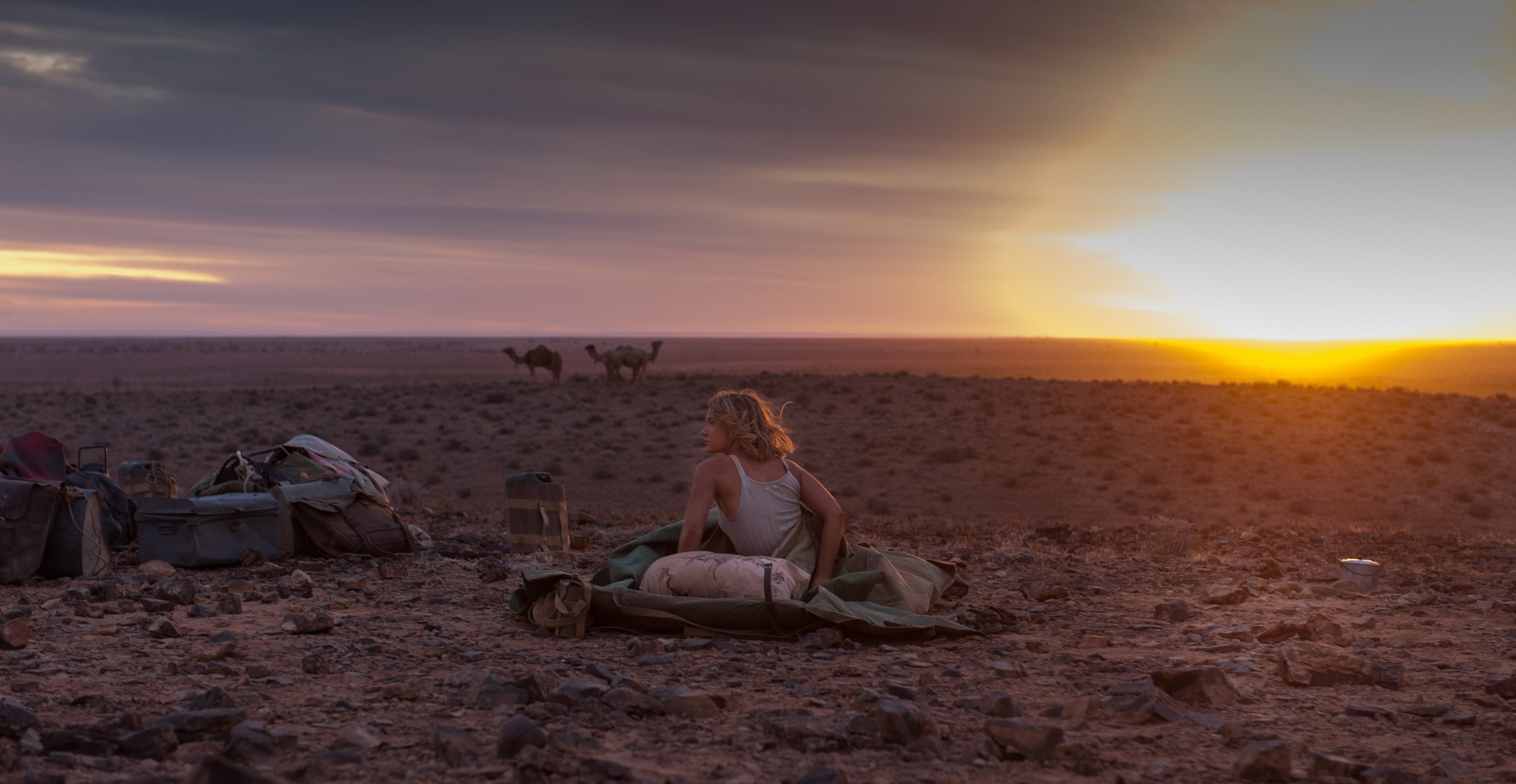 沙漠駝影(澳大利亞2013年約翰·卡蘭執導電影)