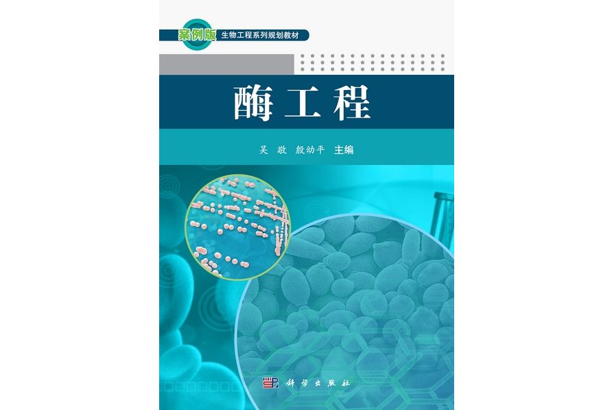 酶工程(2013年3月科學出版社出版的圖書) 酶工程(2013年3月科學出版社出版的圖書)