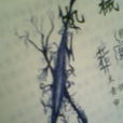 墨說 墨說