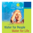 聯合國世界水發展報告