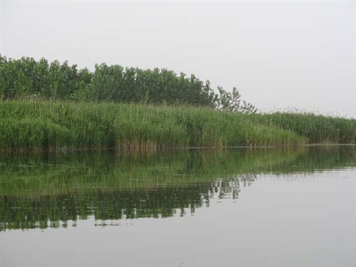 五河沱湖濕地風景區