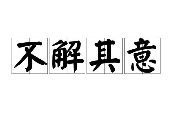 不解其意 不解其意