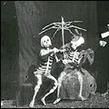 X-Rays X-Rays