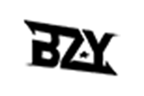 BZY戰隊 BZY戰隊