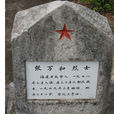 張萬和(中共招遠市政府秘書長) 張萬和(中共招遠市政府秘書長)
