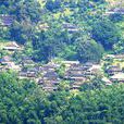 大曼線村 大曼線村