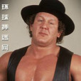 鮑勃·奧頓(Bob Orton) 鮑勃·奧頓(Bob Orton)