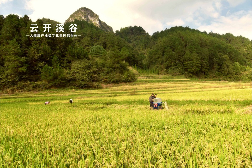 雲開溪谷 雲開溪谷