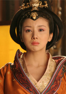 開創盛世(2009年王文杰執導大型歷史劇)