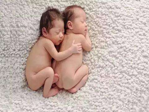 雙胞胎(胎生動物一次懷胎生下兩個個體)