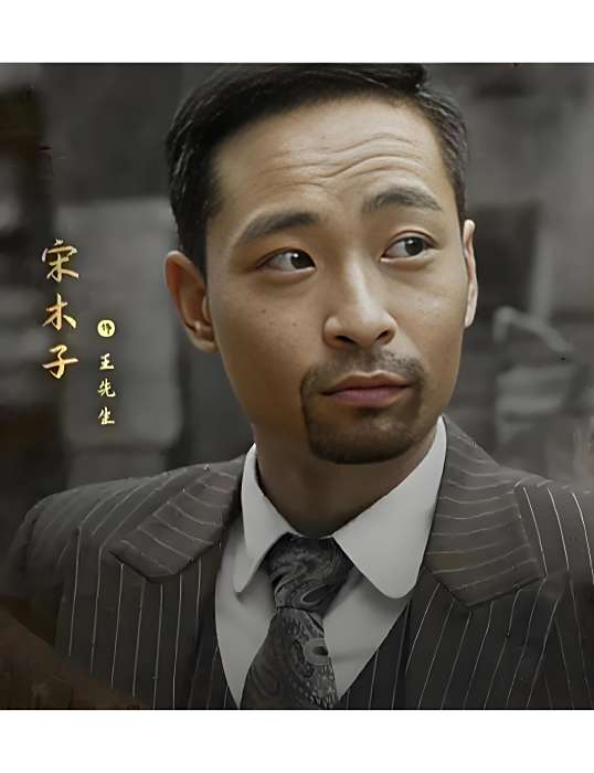王先生(電視劇《暗夜與黎明》中的虛構角色) 王先生(電視劇《暗夜與黎明》中的虛構角色)
