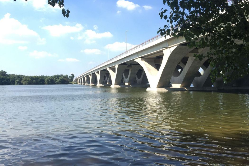 雲龍湖大橋 雲龍湖大橋