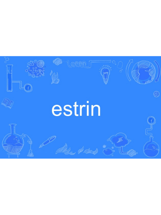 estrin estrin