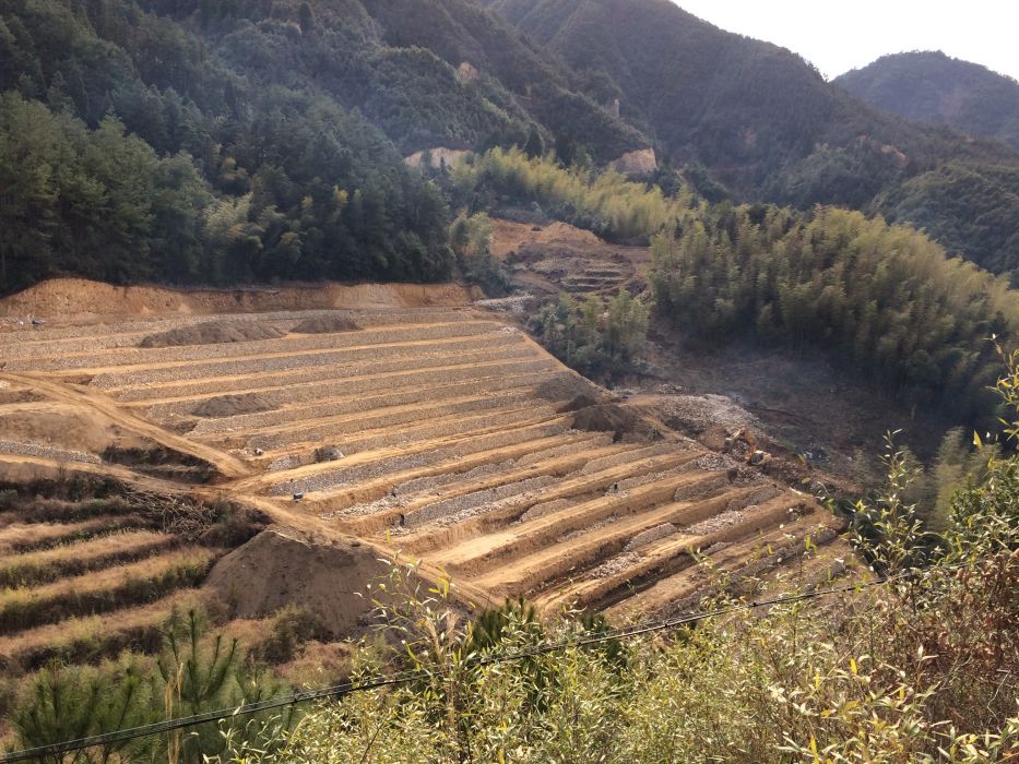 琴山村 琴山村