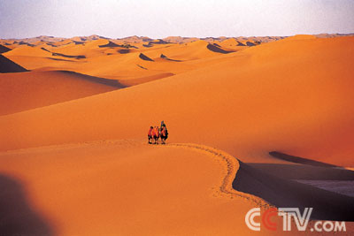 鄂爾多斯高原上的庫布其沙漠