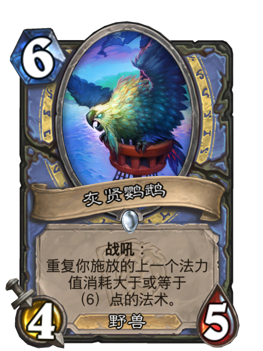 灰賢鸚鵡 灰賢鸚鵡