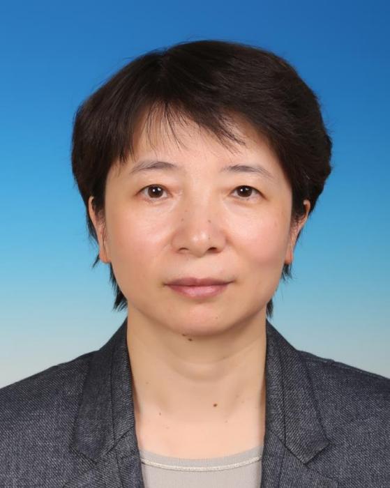 林芳(北京市醫療保障局黨組成員、副局長) 林芳(北京市醫療保障局黨組成員、副局長)
