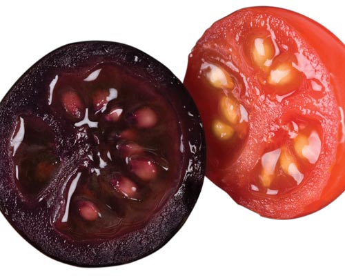 轉基因番茄