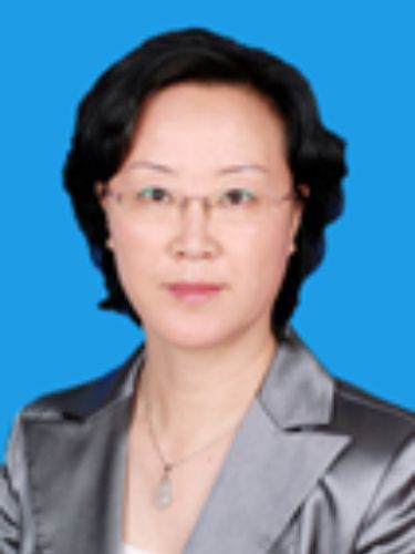 白麗霞(錫林郭勒盟工作委員會副主任) 白麗霞(錫林郭勒盟工作委員會副主任)