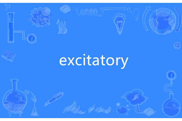 excitatory excitatory