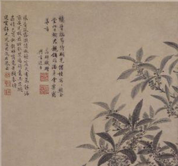 桂石圖 桂石圖