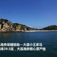 大洋島(中國浙江省島嶼) 大洋島(中國浙江省島嶼)