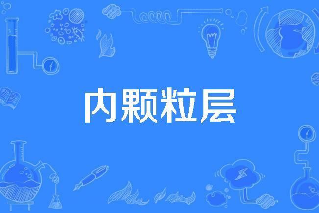 內顆粒層 內顆粒層
