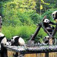 棲息地(動物們休息、睡眠的地方稱為棲息地。)