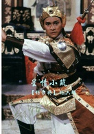 楊家將(1985年TVB台慶劇)