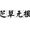 芝草無根 芝草無根