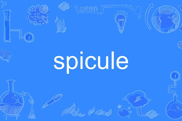 spicule spicule
