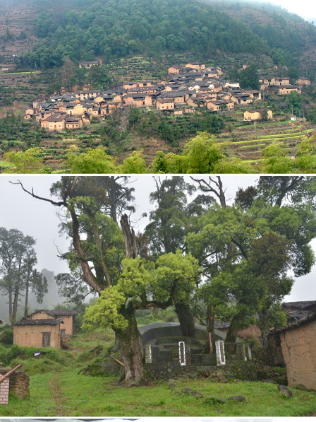 呈回村 呈回村