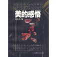 美的感悟 美的感悟