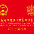 白樺木畫框