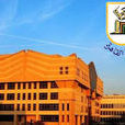 開羅大學 開羅大學