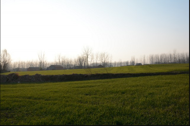 燈劉遺址 燈劉遺址