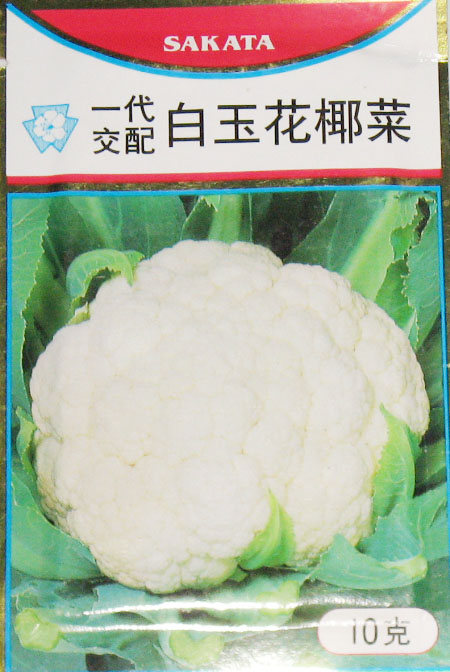 白玉花椰菜