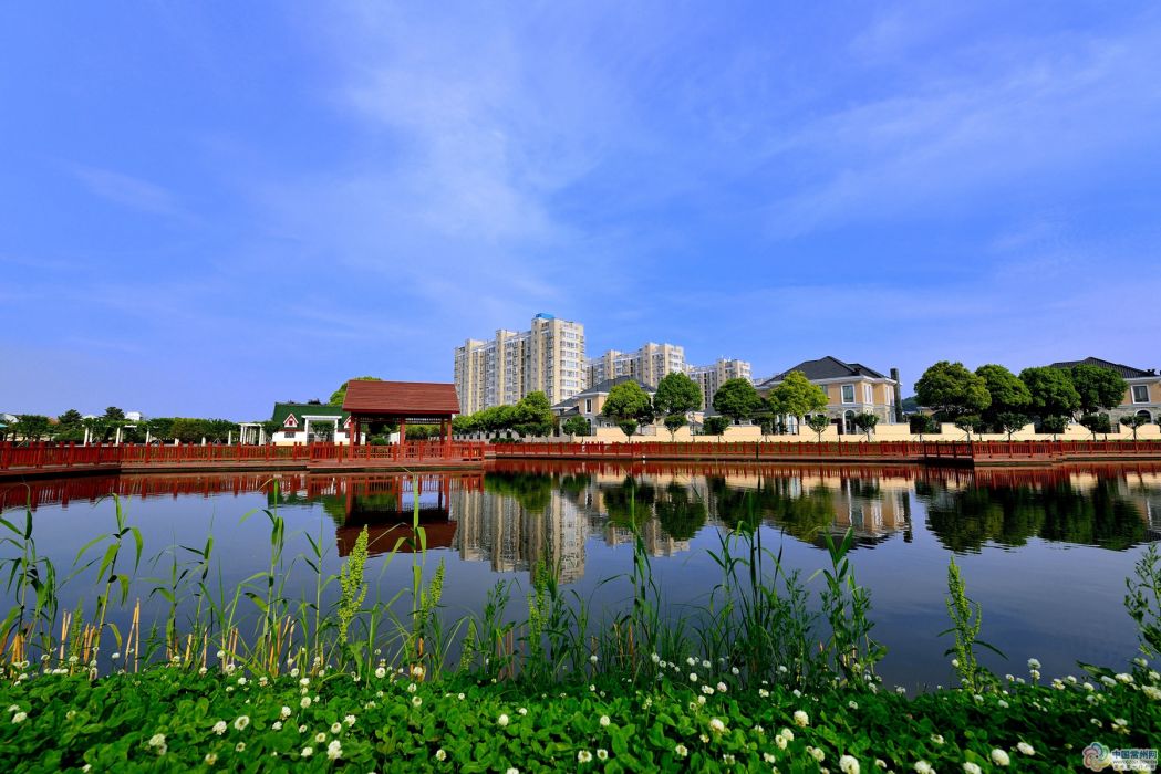 五一村(山東省菏澤市巨野縣柳林鎮下轄村)