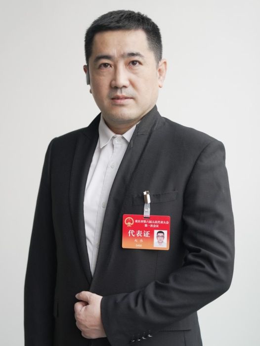 趙偉(重慶市第六屆人民代表大會代表、盛泰光電科技股份有限公司董事長) 趙偉(重慶市第六屆人民代表大會代表、盛泰光電科技股份有限公司董事長)