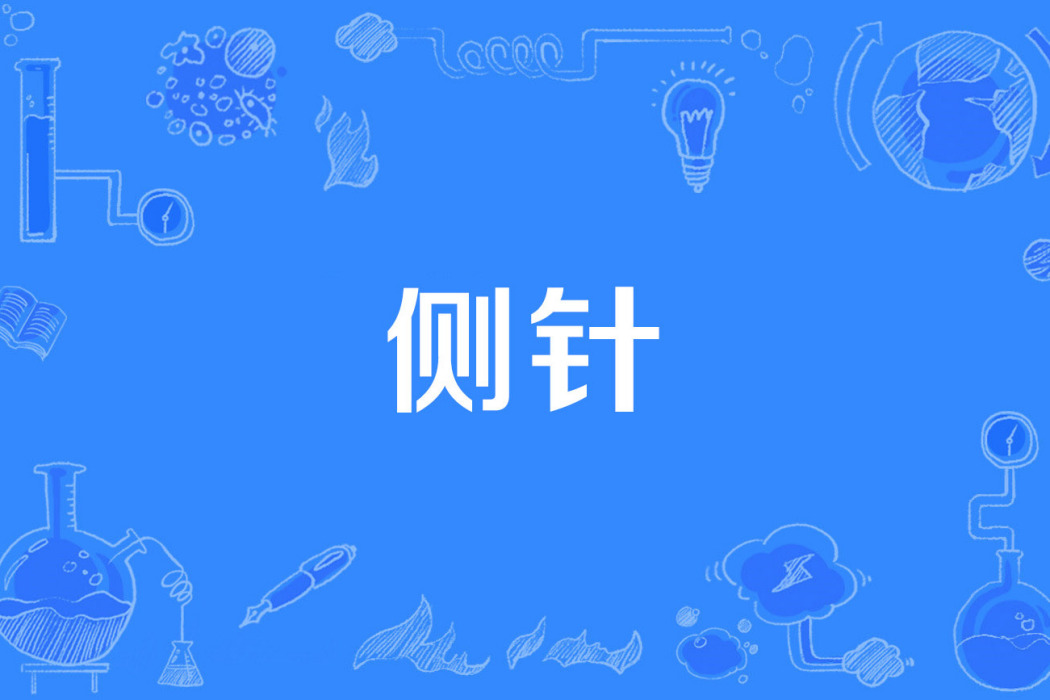 側針 側針