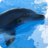 Dolphins：有趣的海豚：野生動物