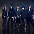 X-Japan(x（日本視覺系搖滾樂隊的鼻祖）)