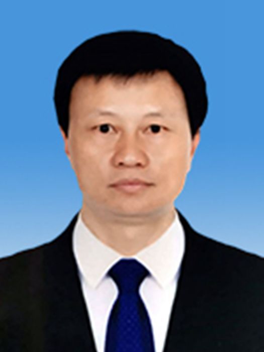 黃海剛(貴州省畢節市七星關區人民政府區長) 黃海剛(貴州省畢節市七星關區人民政府區長)