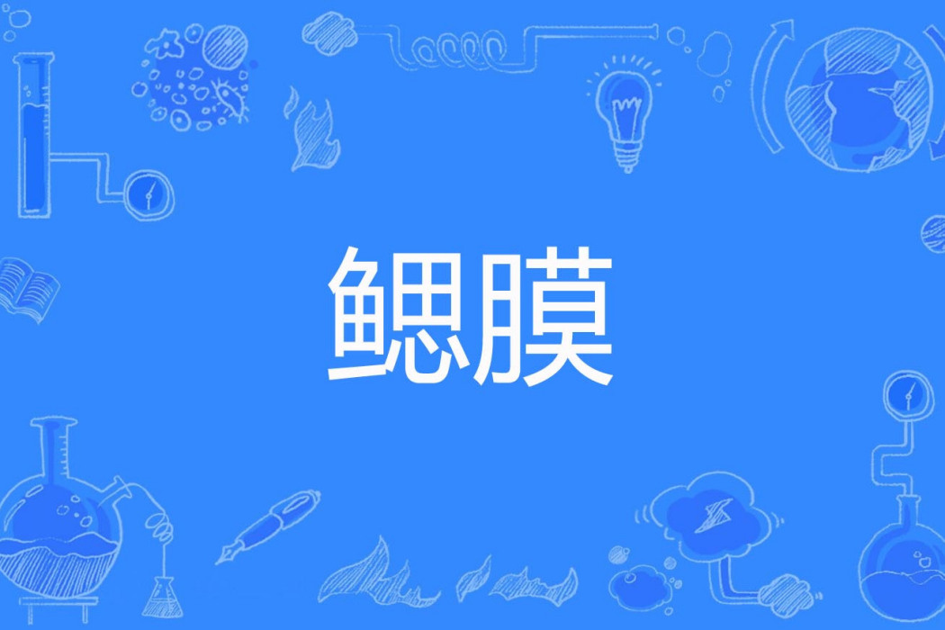 鰓膜 鰓膜