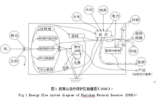 能值分析 能值分析