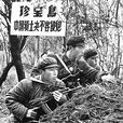 珍寶島自衛反擊戰(珍寶島之戰) 珍寶島自衛反擊戰(珍寶島之戰)